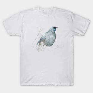 Mrs Kokako, New Zealand native bird T-Shirt